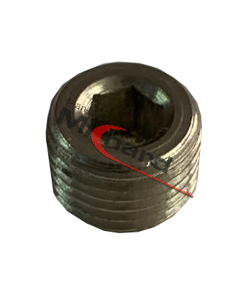 Bouchon 6 pans creux R1/4