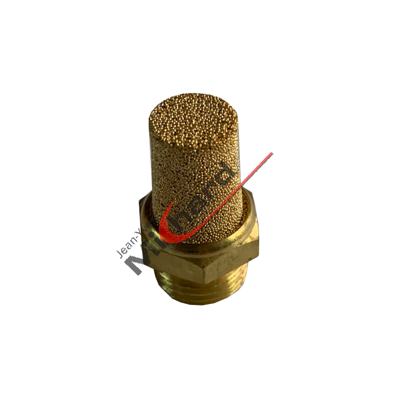 Filtre silencieux à l'échappement R1/4