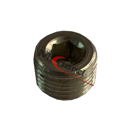 Bouchon 6 pans creux R1/8