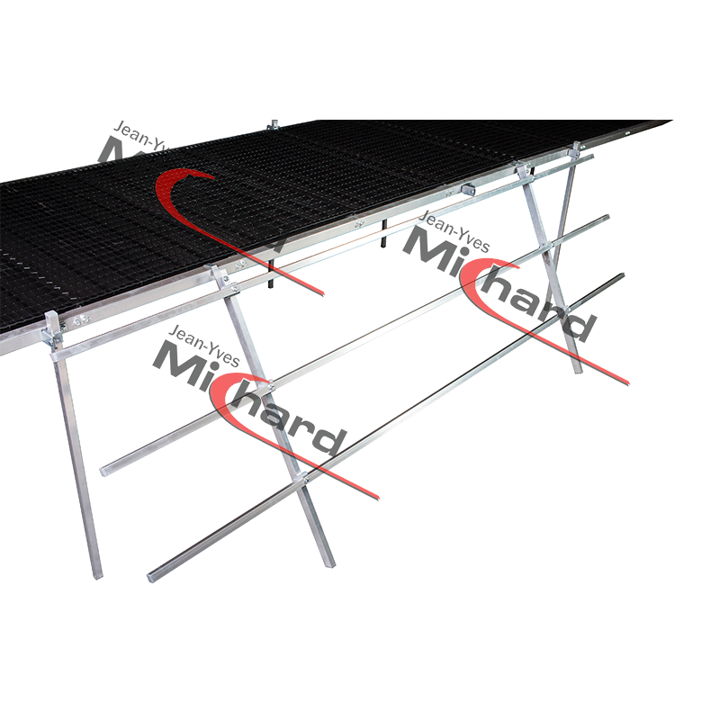 Echelle Poulifly 3 perches de 3M