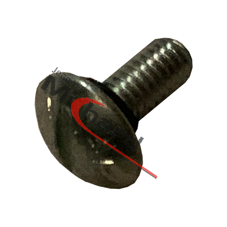 Vis a tête bombée pour silo