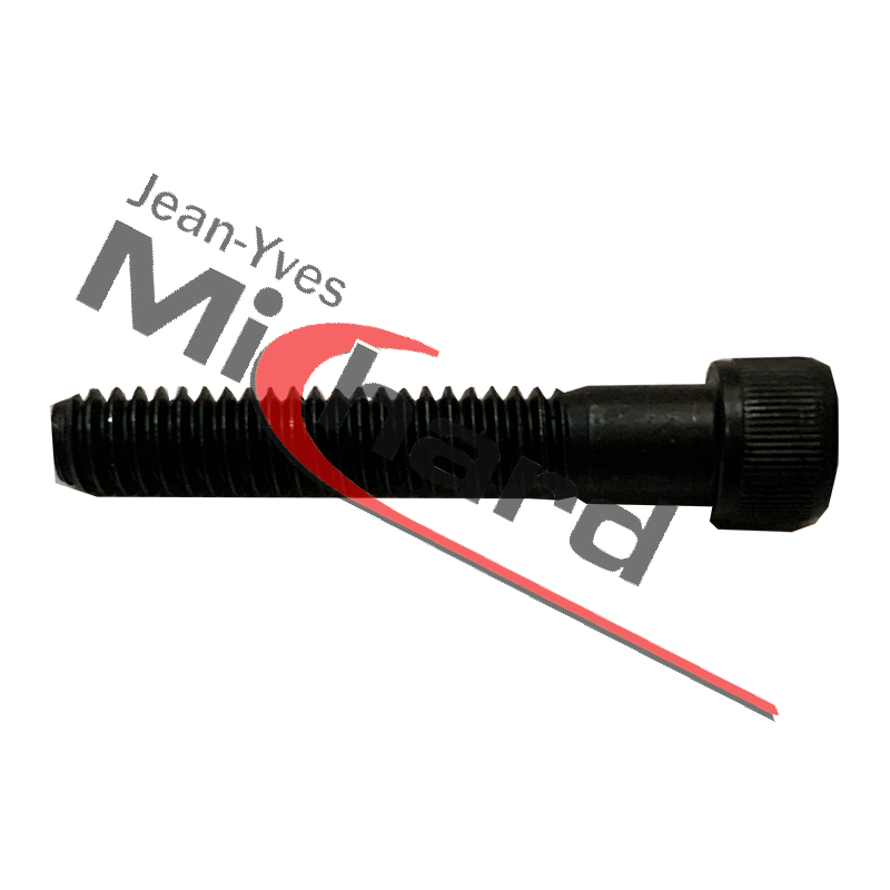 Vis pour chape de spirale Ø45/55 sur motoréducteur